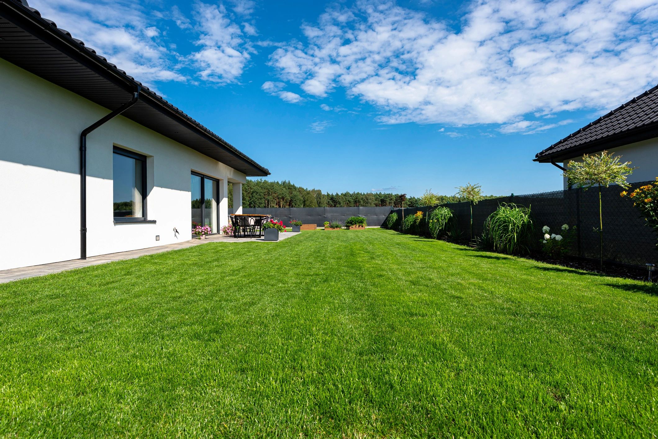 Clean suburban backyard lawn in summer