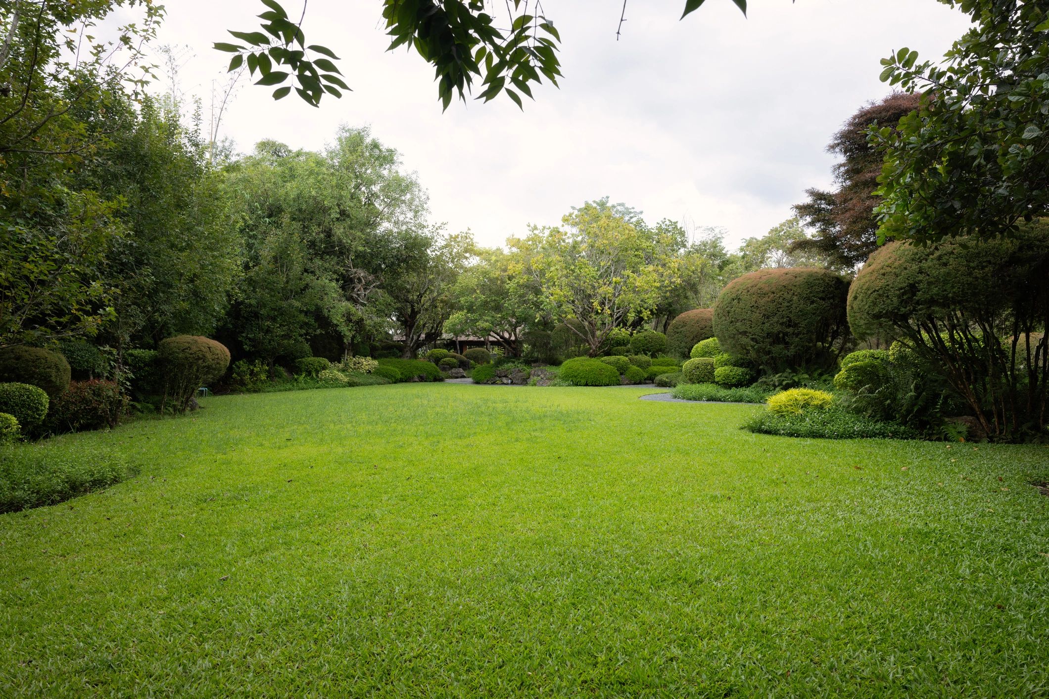 Clean green backyard lawn ready for play