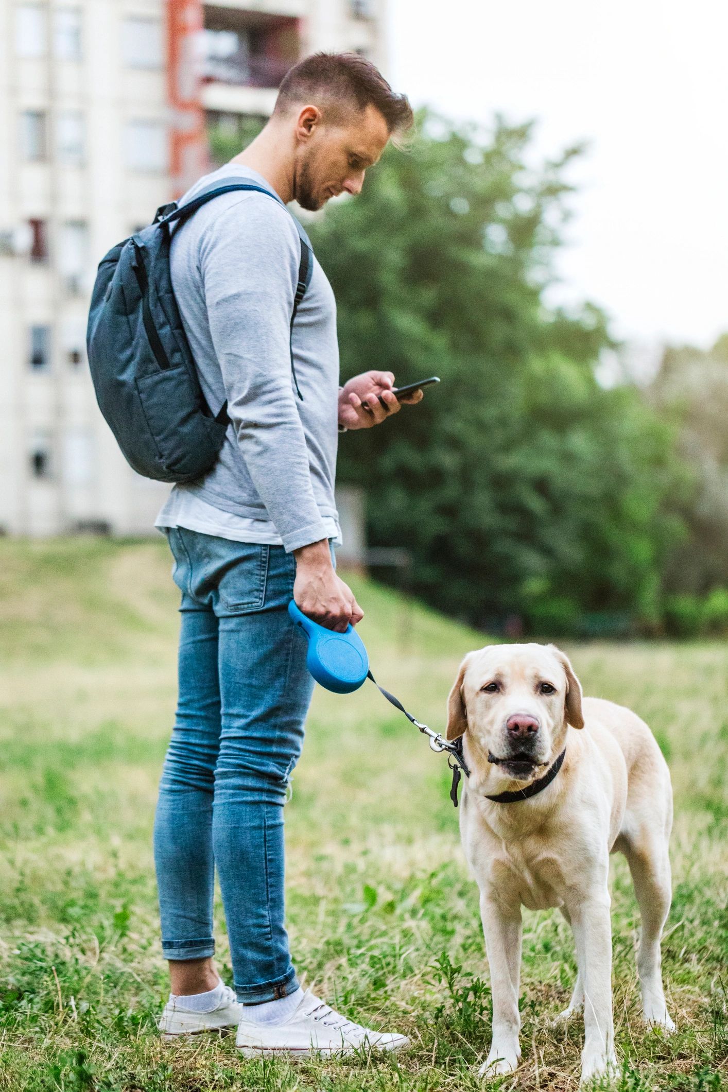 Dog owner using a smartphone while walking a dog